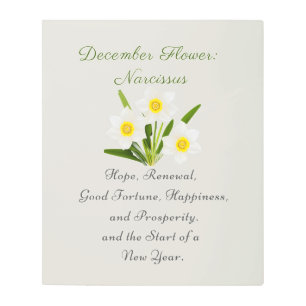 Impresión En Metal Nacimiento Diciembre Mes Flor Narcissus Elegante