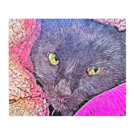 Impresión En Metal Napoleón en una manta