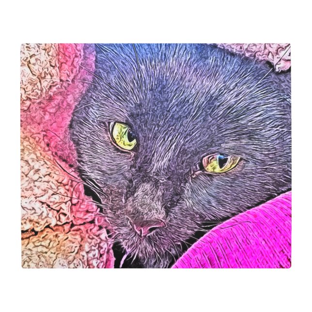 Impresión En Metal Napoleón en una manta (Anverso)