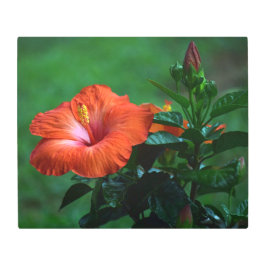 Impresión En Metal Naranja Hibiscus Metalizado Wall Art