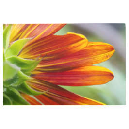 Impresión En Metal Naranja y girasol amarillo