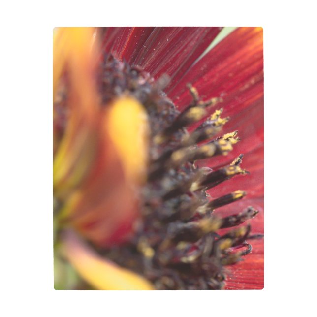 Impresión En Metal Naranja y girasol amarillo (Anverso)