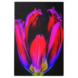 Impresión En Metal Neon Glow Tulip