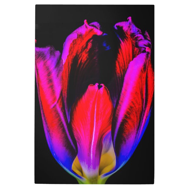 Impresión En Metal Neon Glow Tulip (Anverso)