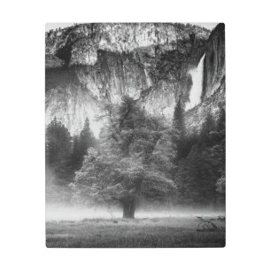 Impresión En Metal Niebla en la pradera