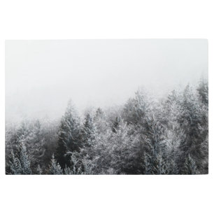 Impresión En Metal Niebla sobre bosque congelado