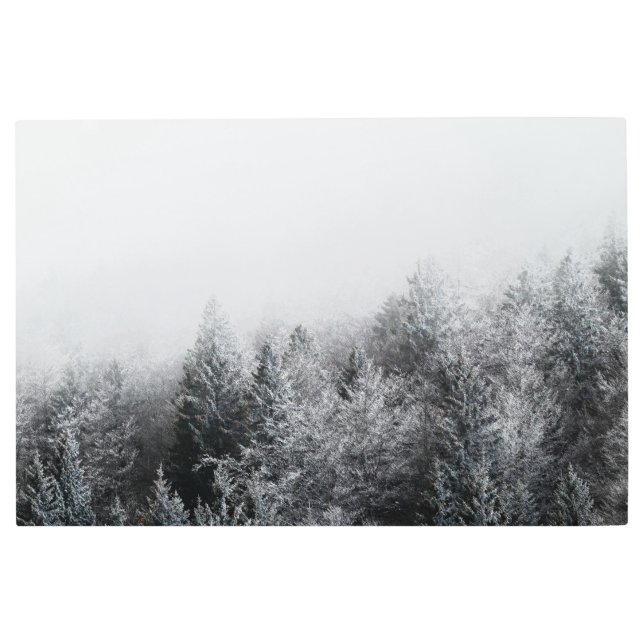 Impresión En Metal Niebla sobre bosque congelado (Anverso)