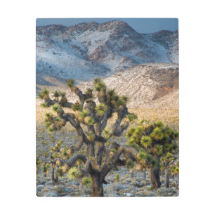 Impresión En Metal Nieve En El Valle De La Muerte