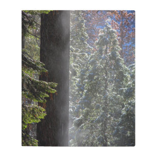 Impresión En Metal Nieve niebla en el bosque