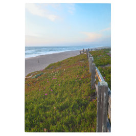 Impresión En Metal Noche Point Reyes