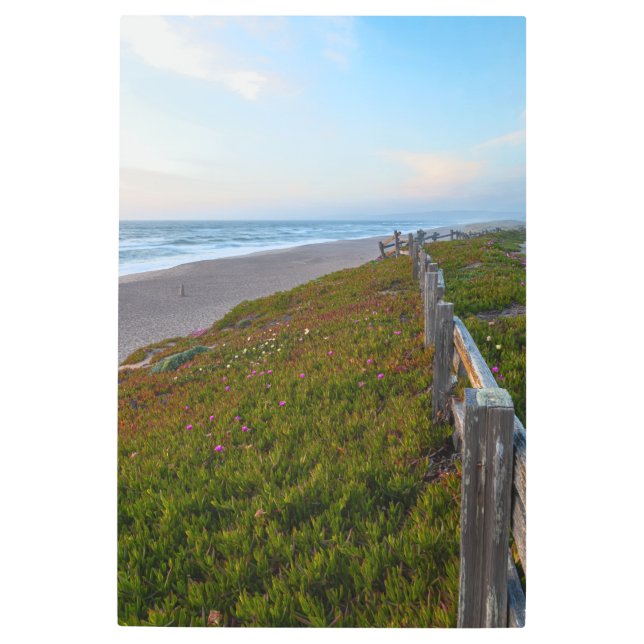 Impresión En Metal Noche Point Reyes (Anverso)