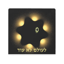 Nunca Más La Estrella Fractal De David