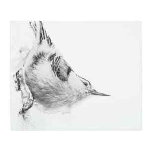 Impresión En Metal Nuthatch, fotografía de aves de alto perfil