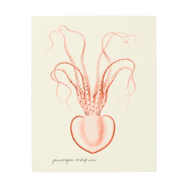 Impresión En Metal Octopus oceanográfico científico de la vida marina (Anverso)