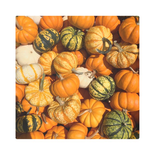 Impresión En Metal Oh My Gourd (Anverso)