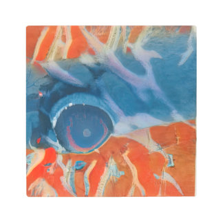 Impresión En Metal Ojo Tropical De Pescado