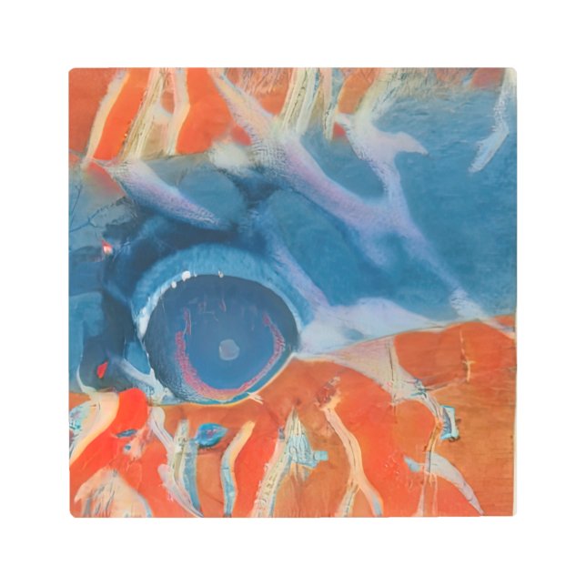 Impresión En Metal Ojo Tropical De Pescado (Anverso)