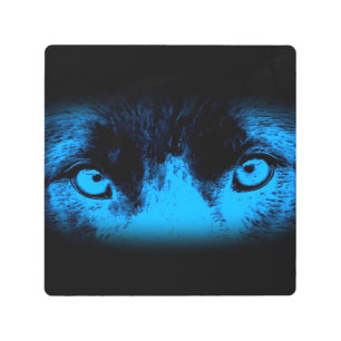 Impresión En Metal Ojos Intensos De Perro En Azul