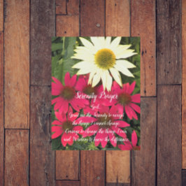 Impresión En Metal Oración de Serenidad Rojo Coneflowers Floral