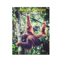 Orangután colgando de un árbol