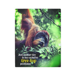 Impresión En Metal Orangutan relajándose en el árbol