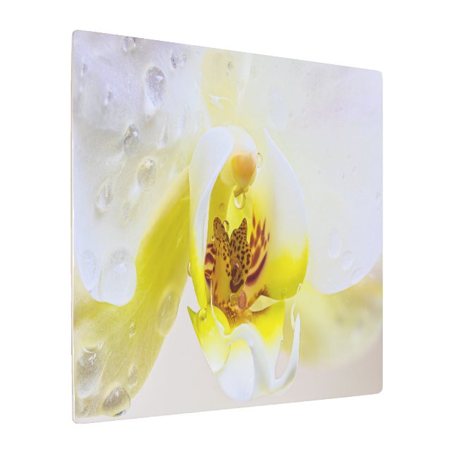 Impresión En Metal Orchid Dew (Angulado)