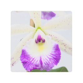 Impresión En Metal Orquídea