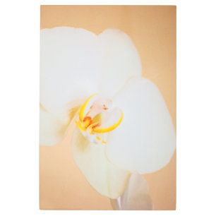Impresión En Metal Orquídea 8930