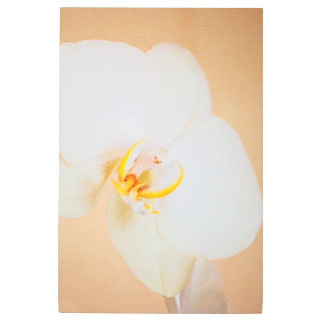 Impresión En Metal Orquídea 8930 (Anverso)