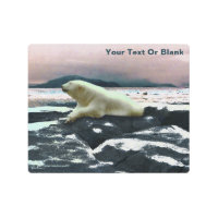 Oso polar de fusión de primavera