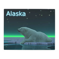 Oso polar del borde del hielo - Alaska