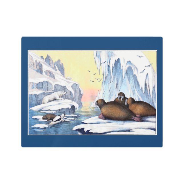 Impresión En Metal Osos polares, moras y focas (Anverso)