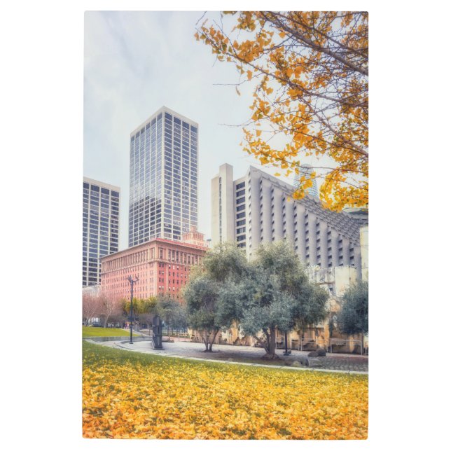 Impresión En Metal Otoño de San Francisco (Anverso)