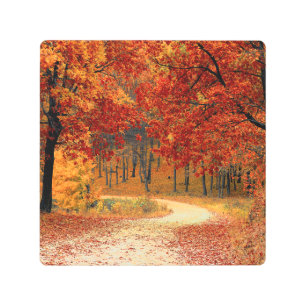 Impresión En Metal otoño en el bosque