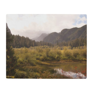 Impresión En Metal Otoño en el bucle