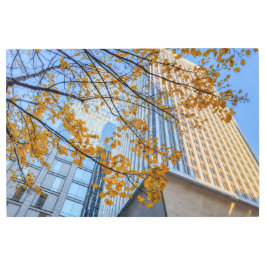 Impresión En Metal Otoño en la ciudad