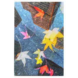 Impresión En Metal Otoño urbano