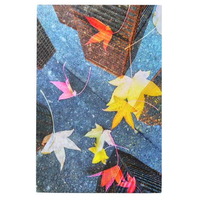 Impresión En Metal Otoño urbano (Anverso)