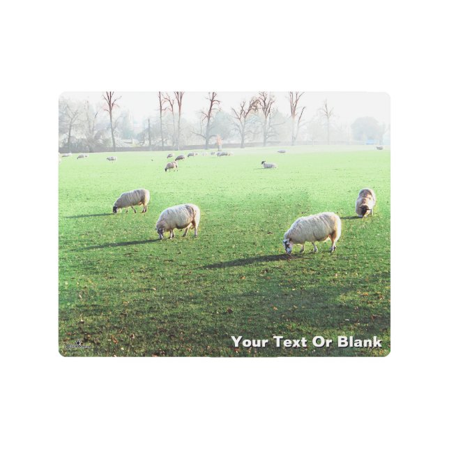 Impresión En Metal Oveja del Palacio de Blenheim (Anverso)