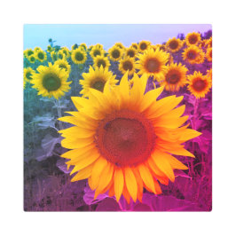 Impresión En Metal País colorido de la foto del girasol