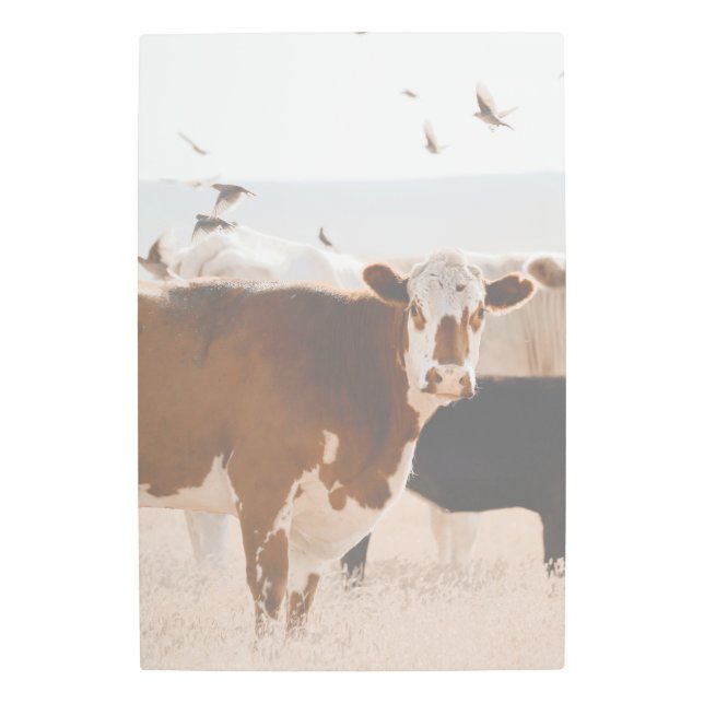 Impresión En Metal País De Aves Marrones Y Blancos Fluyendo (Anverso)