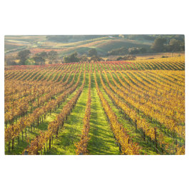 Impresión En Metal País del Vino de California