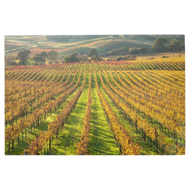 Impresión En Metal País del Vino de California (Anverso)