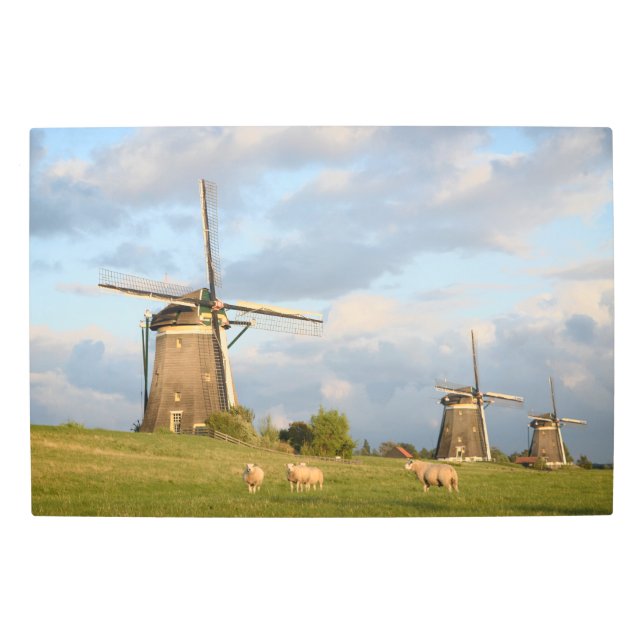 Impresión En Metal Paisaje con los molinoes de viento y las ovejas (Anverso)