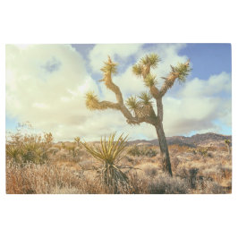 Impresión En Metal Paisaje de Joshua Trees