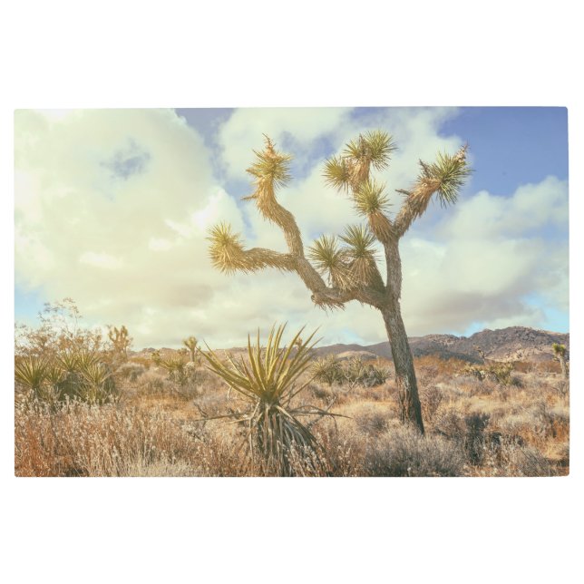 Impresión En Metal Paisaje de Joshua Trees (Anverso)