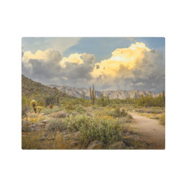 Impresión En Metal Paisaje del desierto 2729-Arizona al atardecer