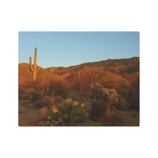 Impresión En Metal Paisaje del desierto de Saguaro Sunset I Arizona (Anverso)
