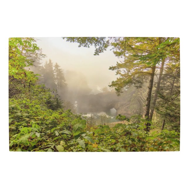 Impresión En Metal Paisaje forestal y oceánico (Anverso)