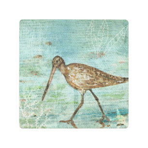 Impresión En Metal Pájaro De Snipe Shorebird En La Playa